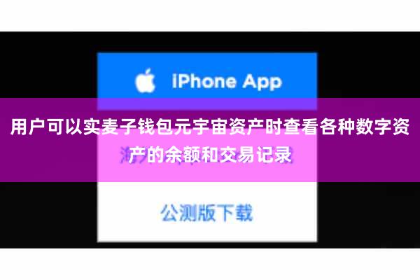 用户可以实麦子钱包元宇宙资产时查看各种数字资产的余额和交易记录