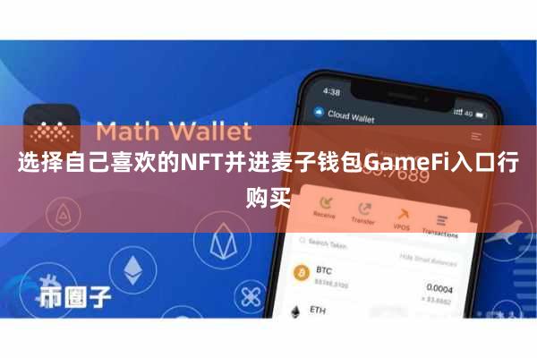 选择自己喜欢的NFT并进麦子钱包GameFi入口行购买