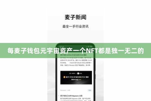每麦子钱包元宇宙资产一个NFT都是独一无二的