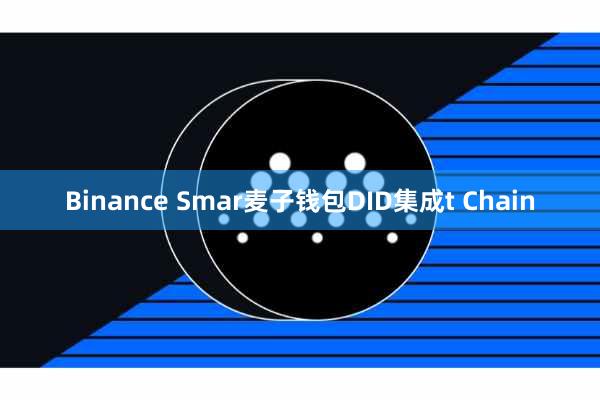 Binance Smar麦子钱包DID集成t Chain