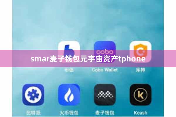 smar麦子钱包元宇宙资产tphone