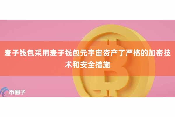 麦子钱包采用麦子钱包元宇宙资产了严格的加密技术和安全措施