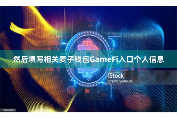 然后填写相关麦子钱包GameFi入口个人信息