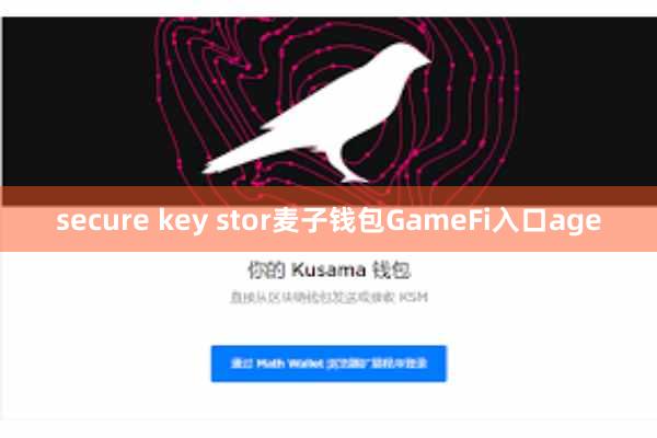 secure key stor麦子钱包GameFi入口age