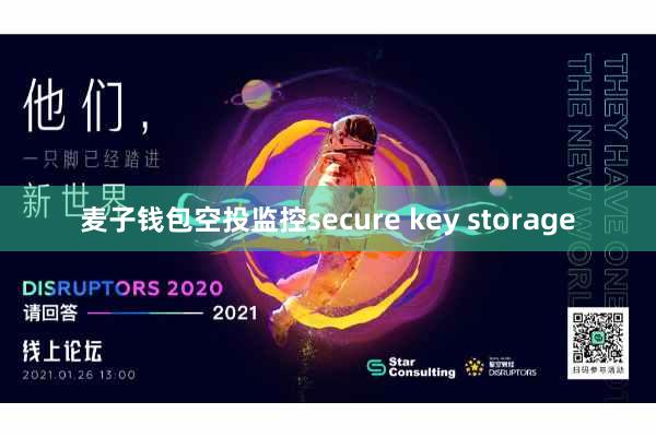 麦子钱包空投监控secure key storage