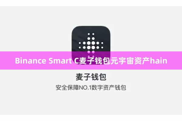 Binance Smart C麦子钱包元宇宙资产hain