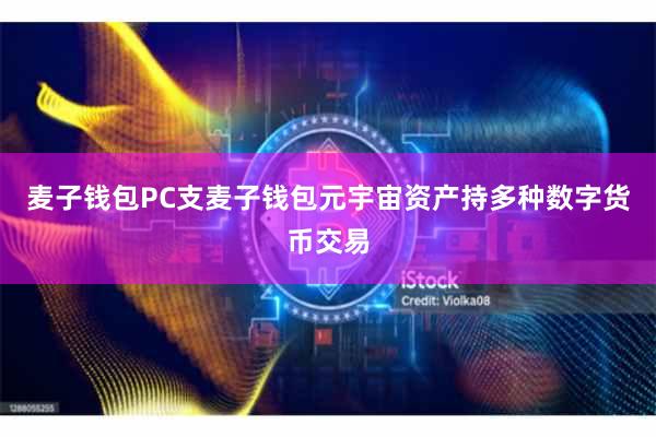 麦子钱包PC支麦子钱包元宇宙资产持多种数字货币交易