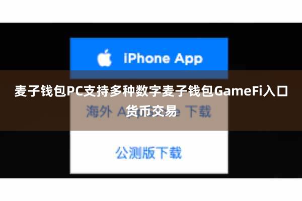 麦子钱包PC支持多种数字麦子钱包GameFi入口货币交易