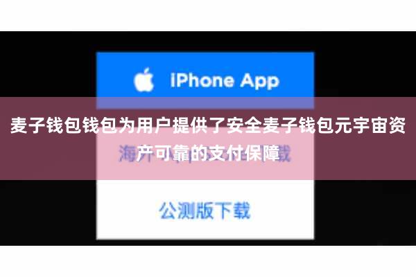 麦子钱包钱包为用户提供了安全麦子钱包元宇宙资产可靠的支付保障