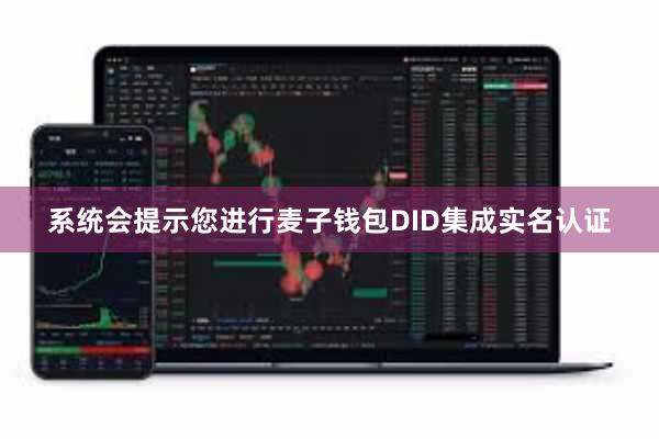 系统会提示您进行麦子钱包DID集成实名认证